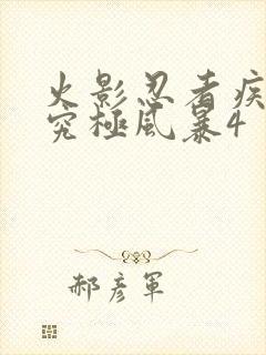 火影忍者疾风传究极风暴4