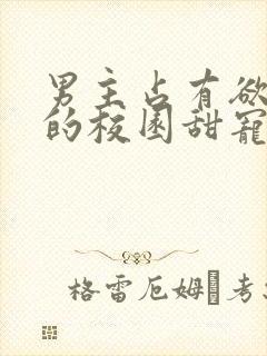 男主占有欲很强的校园甜宠文小说