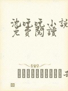 沈晚晚小说全文免费阅读