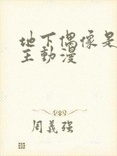 地下偶像是双男主动漫