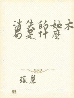 消失的她木子结局是什么