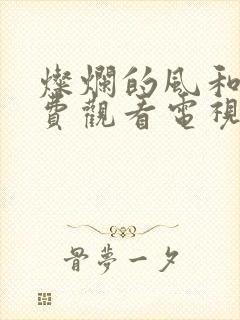 灿烂的风和海免费观看电视剧完整版