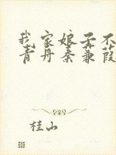 我家娘子不对劲青舟秦蒹葭