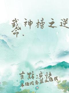 武神榜之逆天改命.