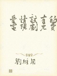 爱情该有的样子电视剧免费观看