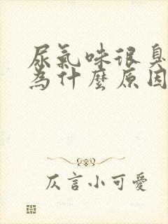 尿气味很臭是因为什么原因