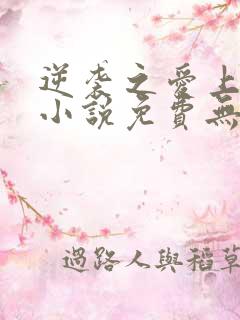 逆袭之爱上情敌小说免费无弹窗