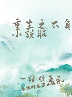 重生之不负韶华小说版