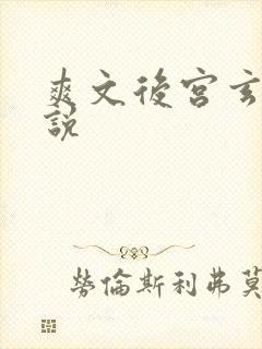 爽文后宫玄幻小说