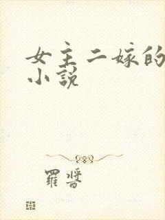 女主二嫁的古言小说