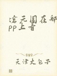 沧元图在哪个app上看