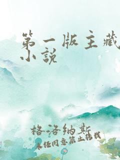 第一版主藏经阁小说