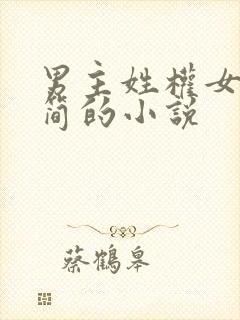 男主姓权女主姓简的小说