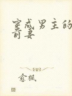 穿成男主的炮灰前妻