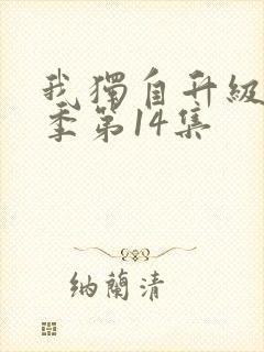 我独自升级第二季第14集