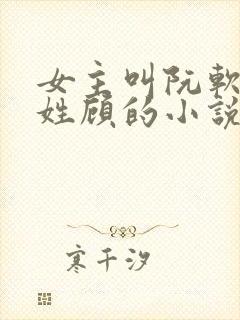 女主叫阮软男主姓顾的小说