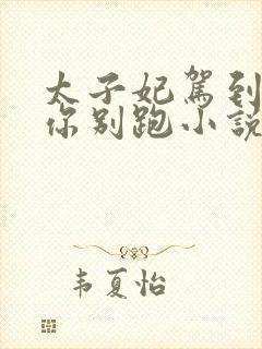 太子妃驾到总裁你别跑小说