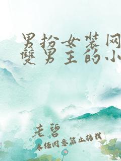 男扮女装网恋上双男主的小说