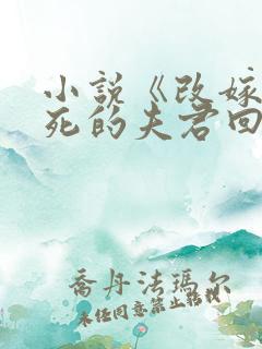 小说《改嫁时战死的夫君回来了》