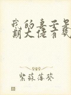 我的妻子是大乘期大佬有几个女主