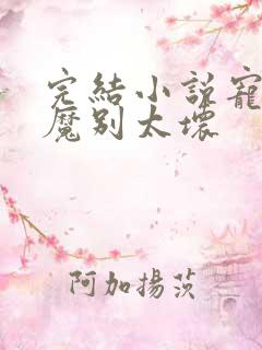 完结小说宠妻狂魔别太坏