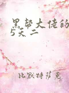 黑帮大佬的365天二