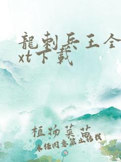 龙刺兵王全本txt下载