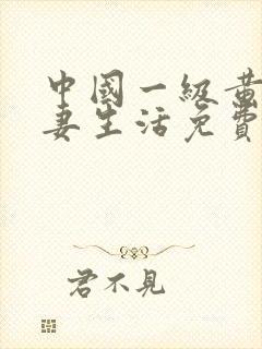 中国一级黄色夫妻生活免费录像