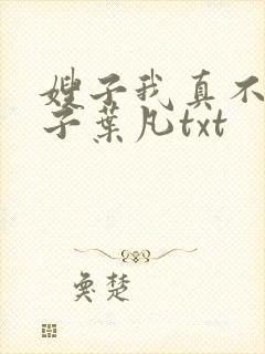 嫂子我真不是傻子叶凡txt