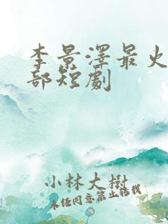 李景泽最火的5部短剧