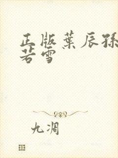 正版叶辰孙怡夏若雪