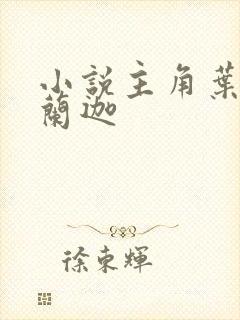 小说主角叶观纳兰迦