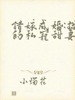 错嫁成婚:总裁的私宠甜妻 短剧