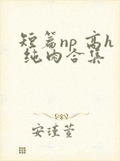 短篇np 高h 纯肉合集