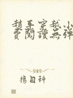 赵平穿越小说免费阅读无弹窗