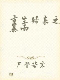 重生归来之末世暴雨