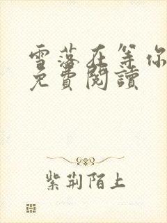 雪落在等你小说免费阅读