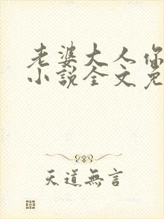 老婆大人你好乖小说全文免费阅读