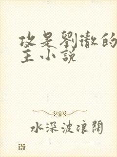 攻是刘彻的双男主小说