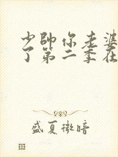 少帅你老婆又跑了第二季在线观看