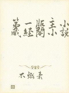 第一版主小说网藏经阁小说网