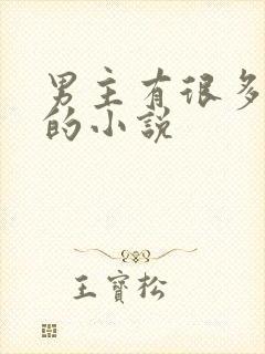 男主有很多老婆的小说