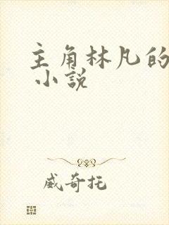 主角林凡的小说 小说