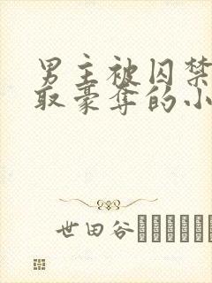 男主被囚禁被强取豪夺的小说