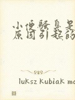 小便骚臭是什么原因引起的