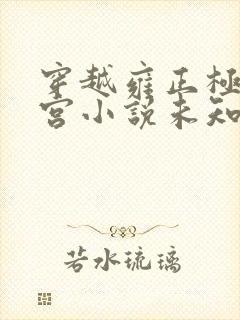 穿越雍正极品后宫小说未知