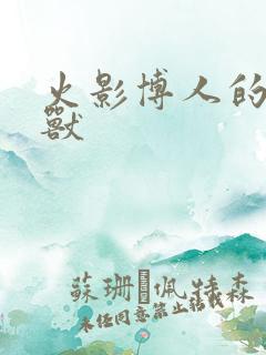 火影博人的通灵兽