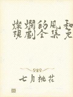 灿烂的风和海电视剧全集免费观看