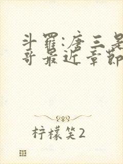 斗罗:唐三是我哥最近章节