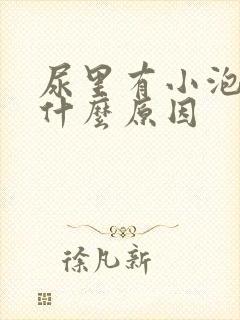 尿里有小泡泡是什么原因